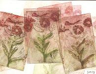 ets bloemen